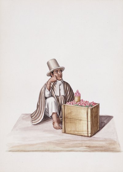 Types et costumes de la Nouvelle-Grenade - South American School