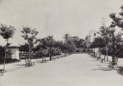 Cadix : Alameda de Apodaca - Spanish Photographer