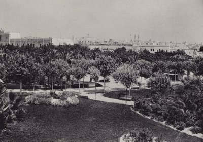 Cadix : Parc Genovés (photo n/b) - Spanish Photographer