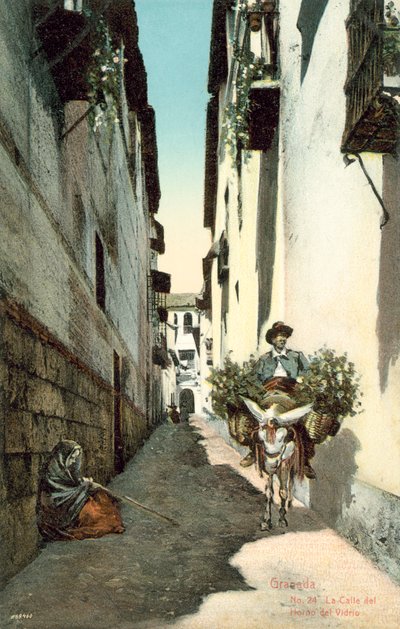 Grenade, La Calle Del Horno Del Vidrio, Espagne (photo couleur) - Spanish Photographer