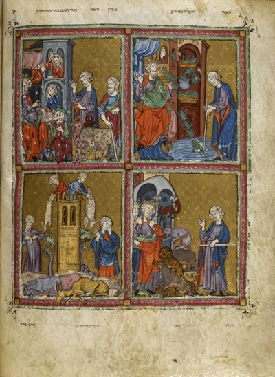 Scènes de l