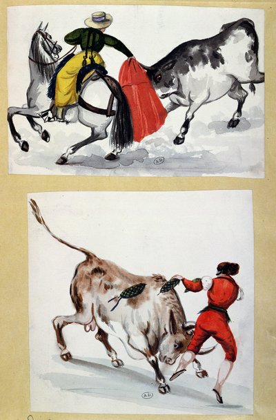 Toreros - Spanish School