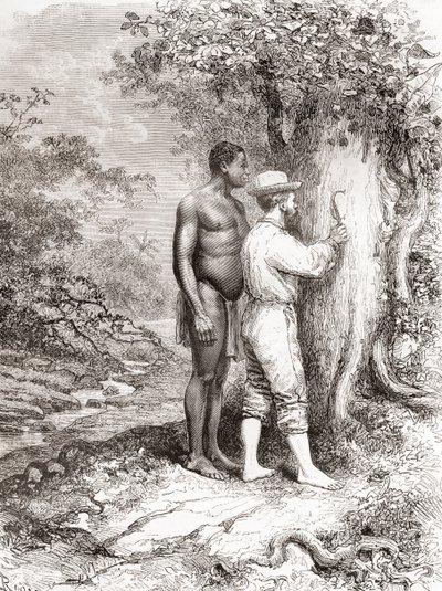 Jules Crevaux, lors de son exploration de la Guyane française en 1878, gravant ses initiales sur un arbre sur les rives du fleuve Oyapock ou Oiapoque - Spanish School