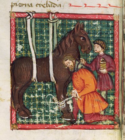 Ms 214 fol.31v Réparation du métacarpien fracturé d