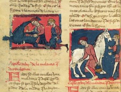 Ms 214 fol.38r Traitement de la gale chez un cheval, tiré du Libro de Menescalcia y Albeyteria par Juan Alvarez, vers 1390 - Spanish School