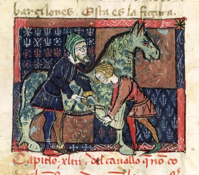 Ms 214 fol.46v Ferrage d