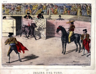 Lâcher de taureau, corrida en Espagne - Spanish School