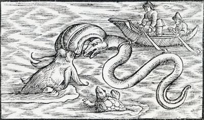Monstres marins, 1511 - Spanish School