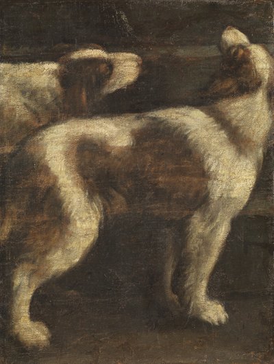 Deux chiens - Spanish School