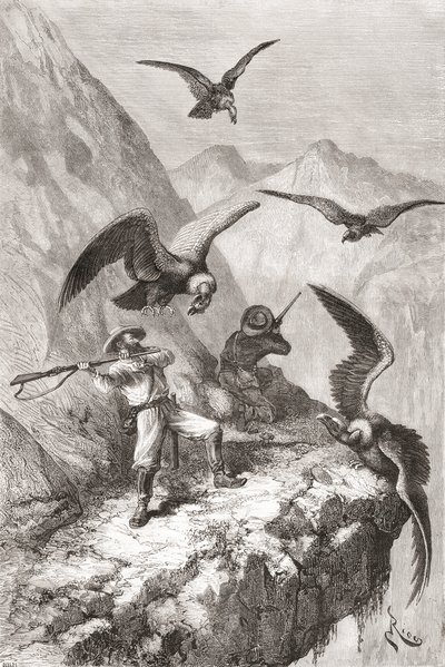Édouard François André et son compagnon attaqués par des condors près de Calacali, province de Pichincha, Équateur, lors de son expédition botanique dans les contreforts des Andes en 1875-76 - Spanish School