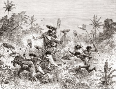 Édouard François André attrapant des papillons à Villavicencio, Venezuela, lors de son expédition botanique dans les contreforts des Andes en 1875-76 - Spanish School