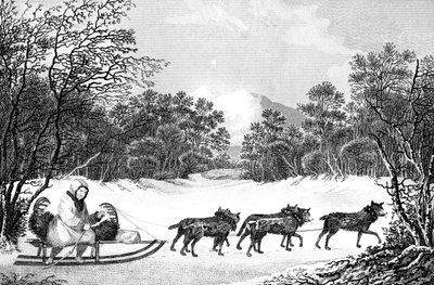 La manière de voyager en hiver au Kamtchatka, 19ème siècle - Sparrow