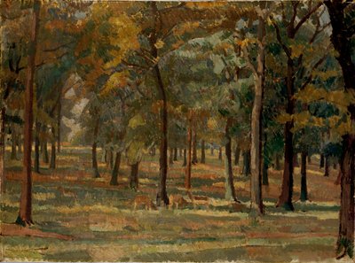Parc de Richmond, 1914 - Spencer Gore