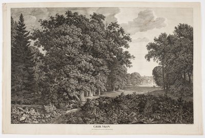 Grib Skov avec vue sur Esrum Sø vers Fredensborg - Søren Henrik Petersen