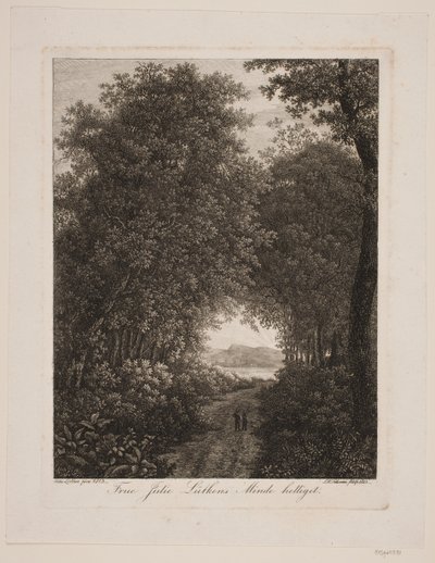 Chemin forestier - Søren Henrik Petersen