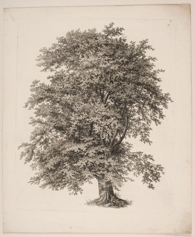 "Études d