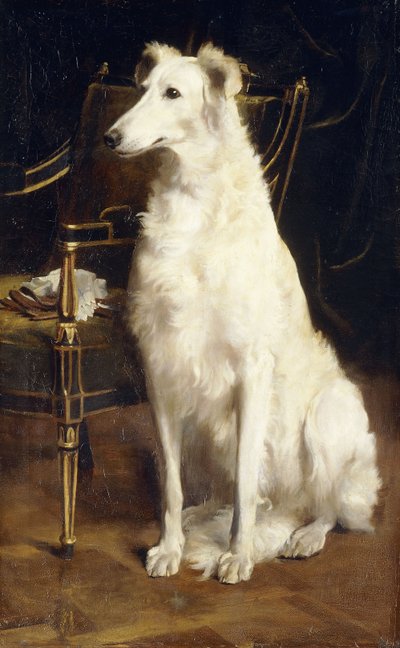 Un Borzoi près d