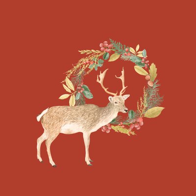 Cerf des fêtes, 2021 - Stacy Hsu