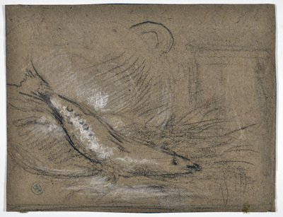 Étude de poisson - Stanislas Torrents y de Amat