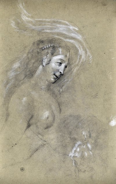 Étude de profil de femme - Stanislas Torrents y de Amat