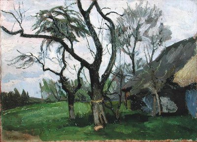 Paysage de Wola Radziszowska - Stanislaw Kamochi