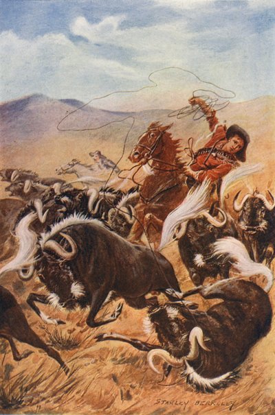 Cow-boy lassant des bœufs musqués - Stanley (after) Berkeley