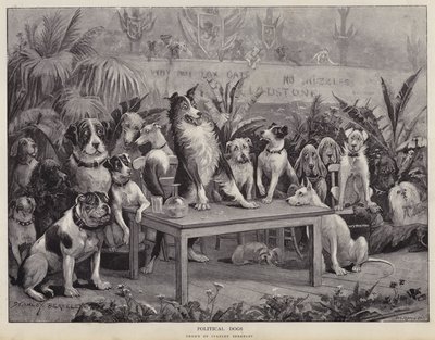 Chiens politiques - Stanley (after) Berkeley