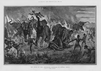 Le cercle de feu - destruction des éléphants en Afrique centrale - Stanley (after) Berkeley