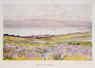 Aquarelle de Stanley Inchbold, représentant la mer de Galilée en Palestine 1906 - Stanley Inchbold