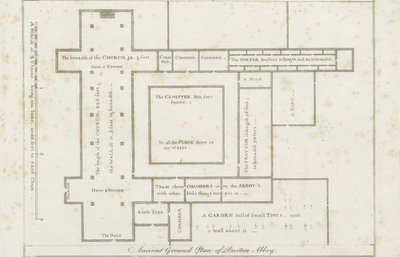 Abbaye de Burton-upon-Trent: gravure, nd [c 1795] - Stebbing Shaw