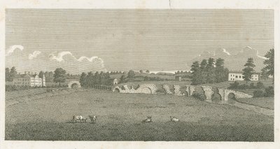 Pont de Wolseley : gravure - Stebbing Shaw