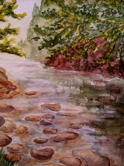 Dans la forêt - Ruisseau - Steegs Art Karin