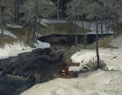 Bergstrom - Stefan Filipkiewicz