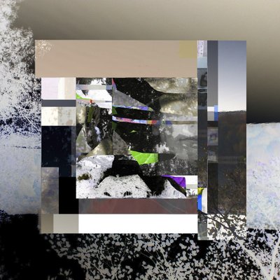 Une nature numérique fragmentée - Stefan Fransson