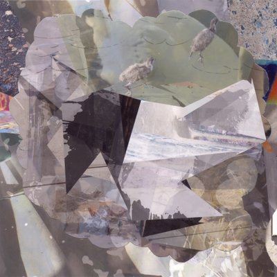 Oiseaux abstraits en superposition - Stefan Fransson