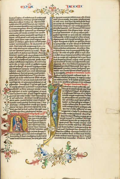 Initial N : Saint Jacques à l