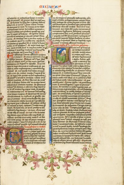 Initial V : Michée - Stefan Lochner