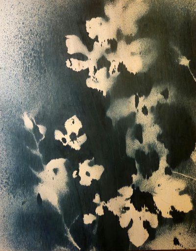  - Stefano Mazzolini