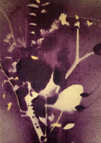 Motifs botaniques violet profond - Stefano Mazzolini