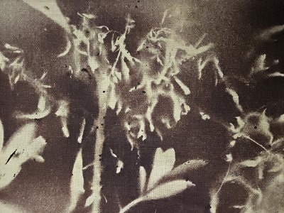  - Stefano Mazzolini