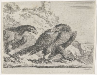 Aigle marchant vers la droite, regardant un autre aigle - Stefano della Bella