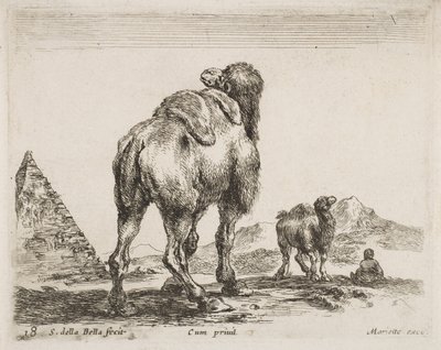 Chameau vu de derrière, 1641 de Diversi Animali - Stefano della Bella