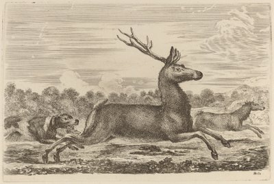 Cerf chassé par deux chiens vers la gauche - Stefano della Bella