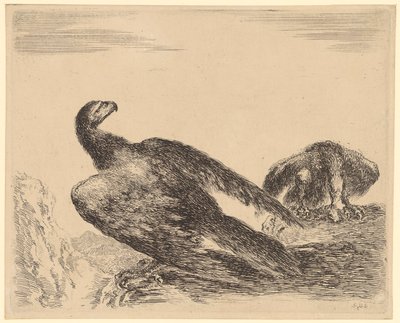 Aigle déployant ses ailes et se nourrissant, feuille n° 4 de la série « Aigle » - Stefano della Bella