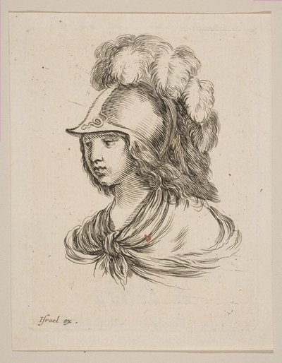 Tête de Minerve, de 