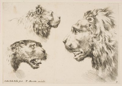 Têtes de trois lions, vers 1641 - Stefano della Bella
