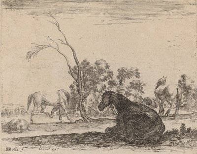 Chevaux dans un pâturage, 1642 - Stefano della Bella