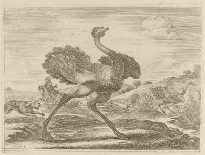 Chasse à l
