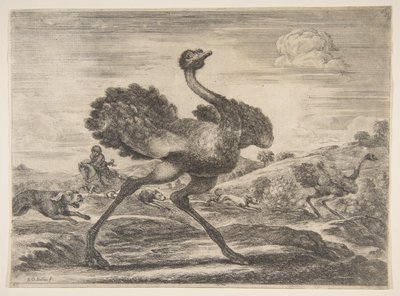 Chasse à l