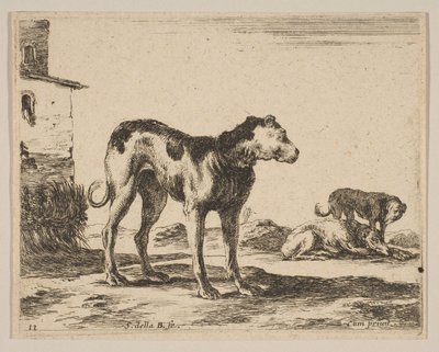 Planche 11 : chiens, de Divers animaux Diversi animali - Stefano della Bella